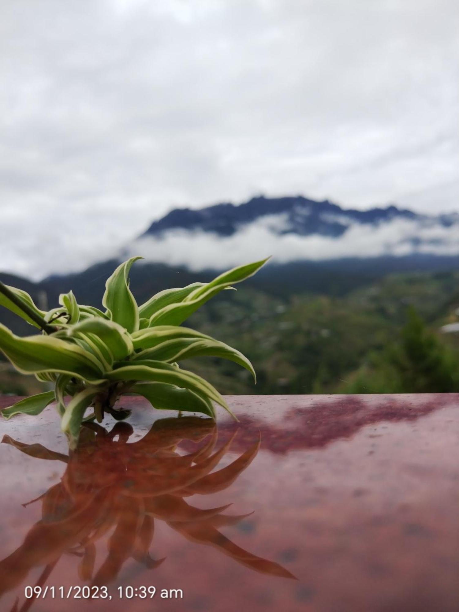 Highland Homestay Kundasang Ranau Exteriör bild